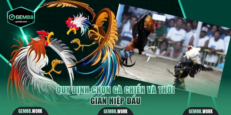 Quy định chọn gà chiến và thời gian hiệp đấu